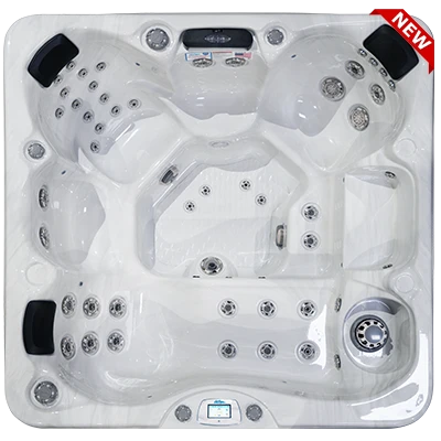 Avalon-X EC-849LX hot tubs for sale in Cincinnati