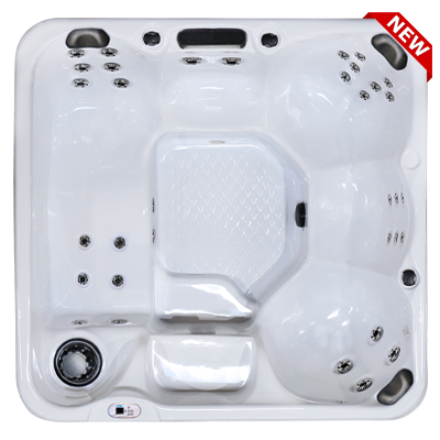 Hawaiian Plus PPZ-634L hot tubs for sale in hot tubs spas for sale Cincinnati
