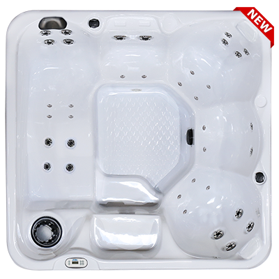 Hawaiian PZ-636L hot tubs for sale in hot tubs spas for sale Cincinnati